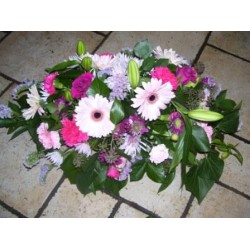 Sympathy 24 - Prices start from £55.00